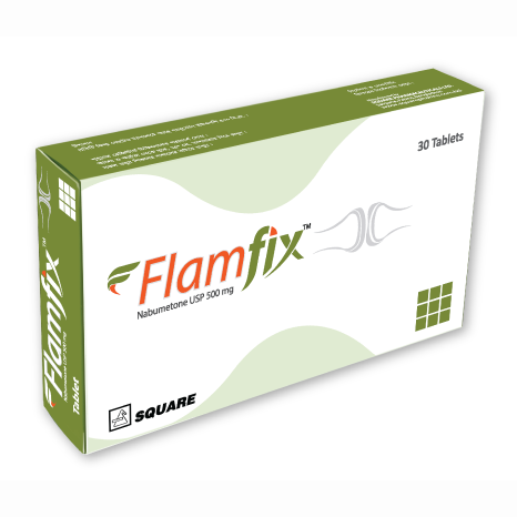 flamfix-500-mg